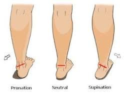 What are Pronation and Supination?